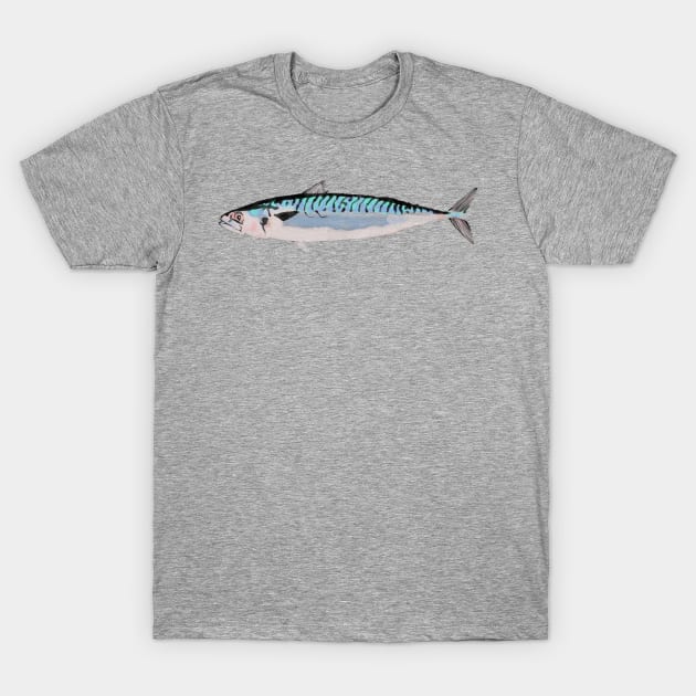 Mackerel T-Shirt by betsyschrock